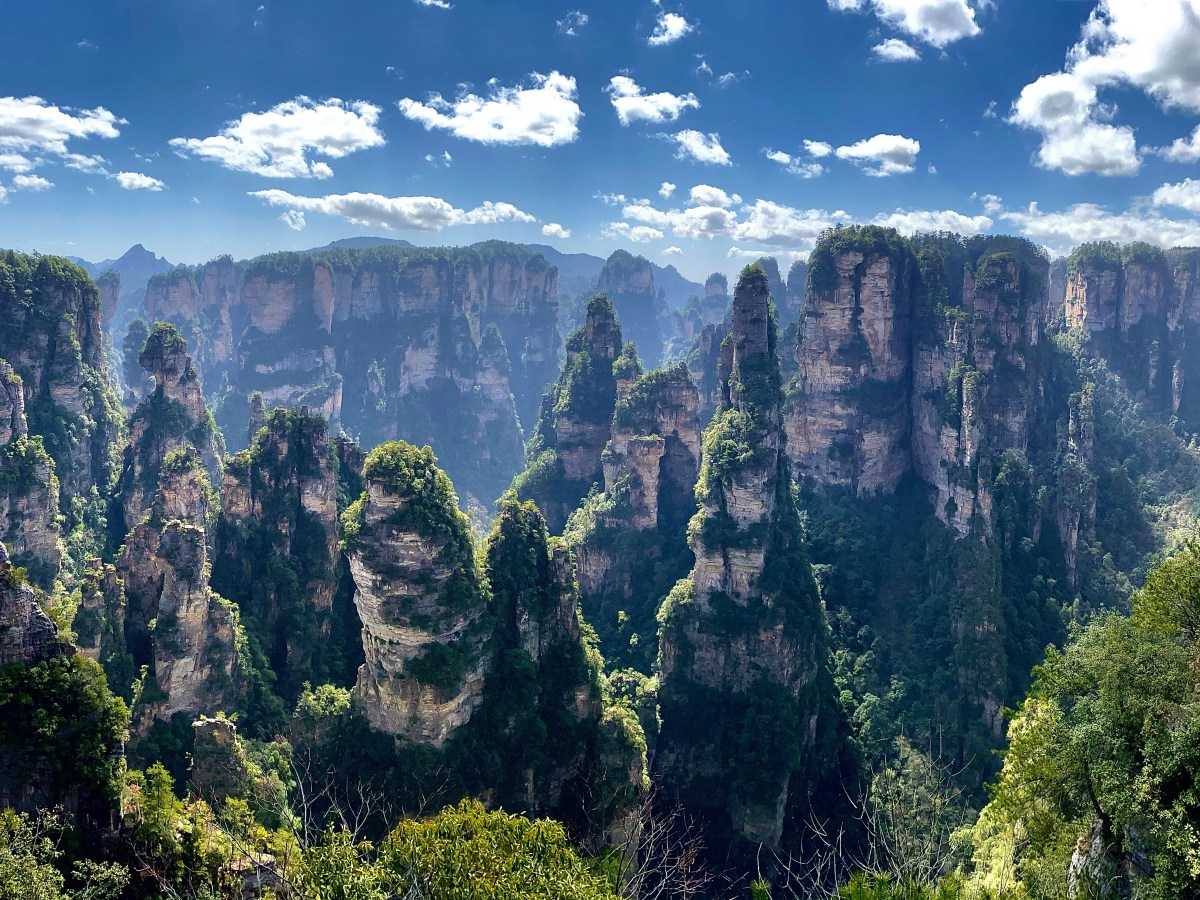 Voyage dans l&rsquo;Univers&nbsp;d&rsquo;Avatar