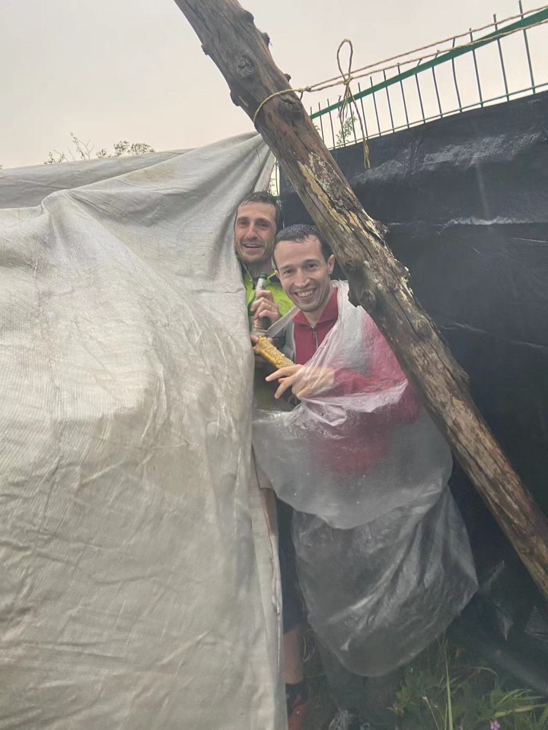 9c156e24fb74df59cb0fb1ae82137290